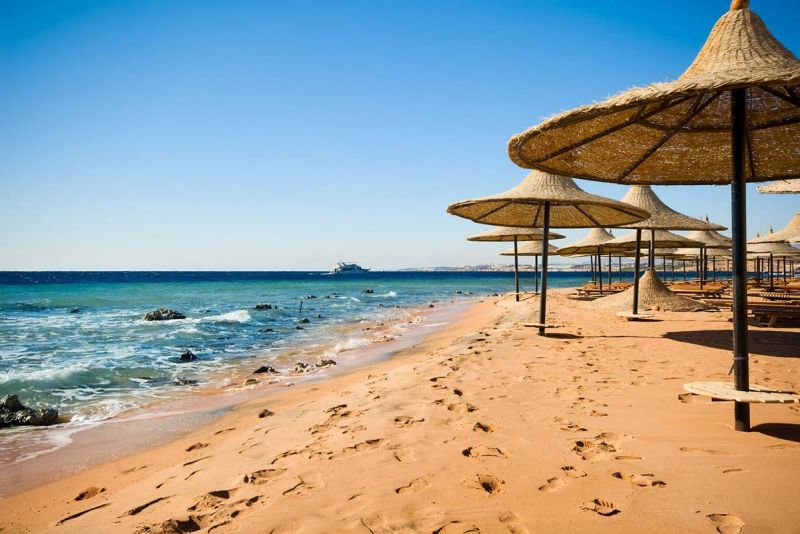 3turistyi-stali-reje-ezdit-v-egipet-turtsiyu-i-tunis.jpg 3turistyi-stali-reje-ezdit-v-egipet-turtsiyu-i-tunis.jpg