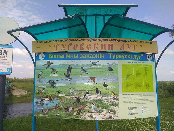 Сокровища Полесья - Изображение 11