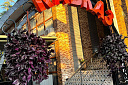 Royal Kavkaz (ж/д тур) - Изображение 0